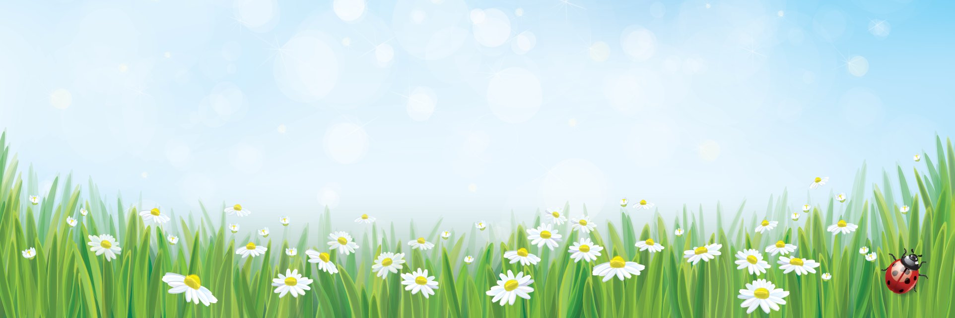 parksideprimary's profile banner image