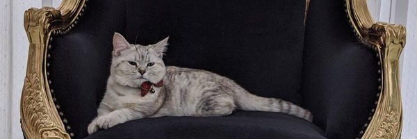 datokomoto Profile Banner