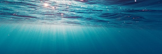 AkajiCrypto's profile banner image