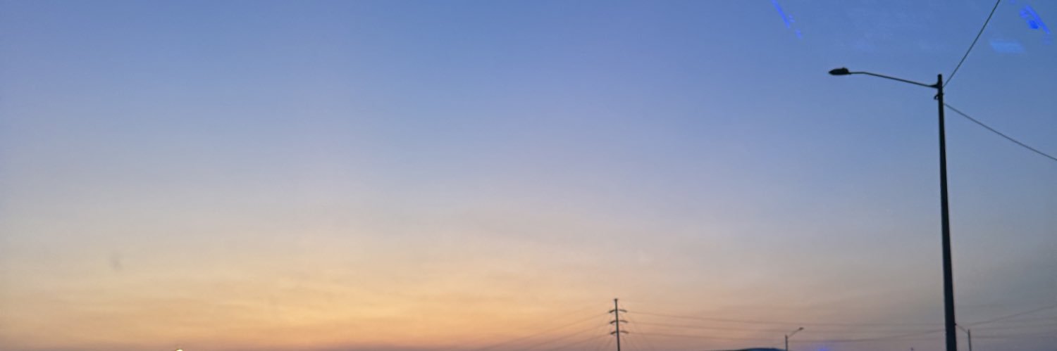 rosemarycoello's profile banner image