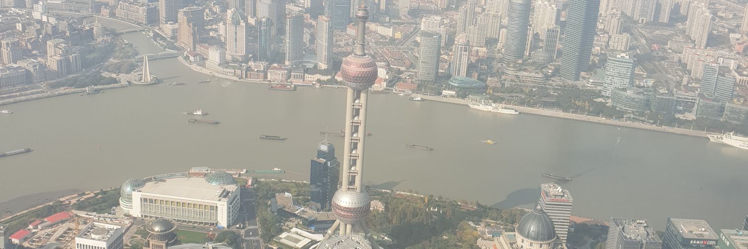 Rebecca Vodden-Page banner