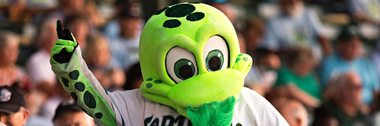 Shelldon Tortuga banner