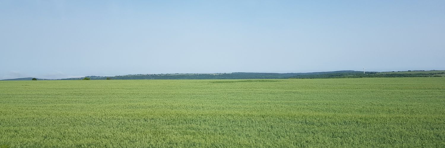 Pere Boadas Vaello banner