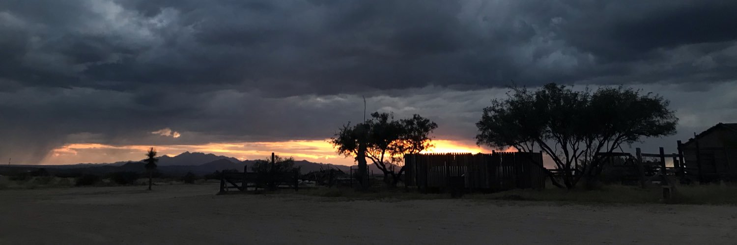 Bob Singleton - Artist banner