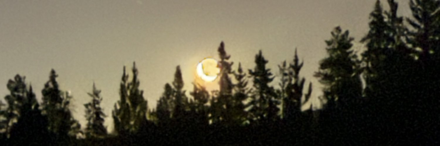 robert_dawg's profile banner image