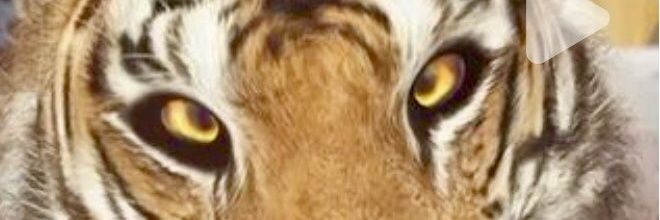 TheRealY4123's profile banner image
