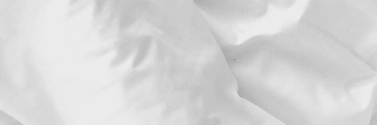 flowlaure's profile banner image