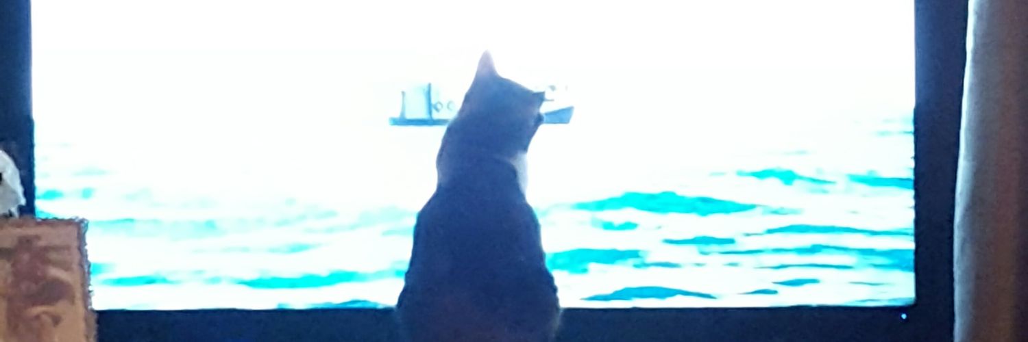 Toddletots1's profile banner image