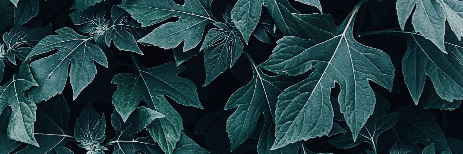 wahkris's profile banner image