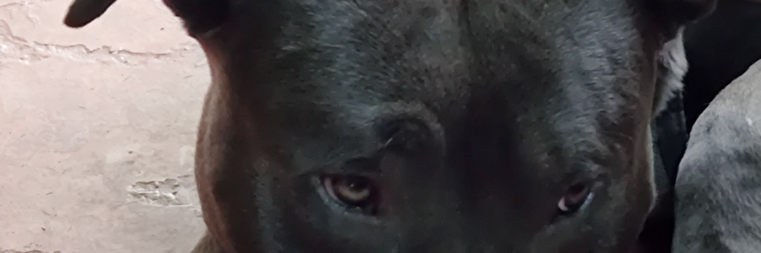 Felipe Villegas banner