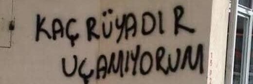 ayseeyell's profile banner image