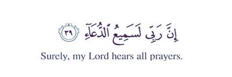 safaa_ankeh's profile banner image