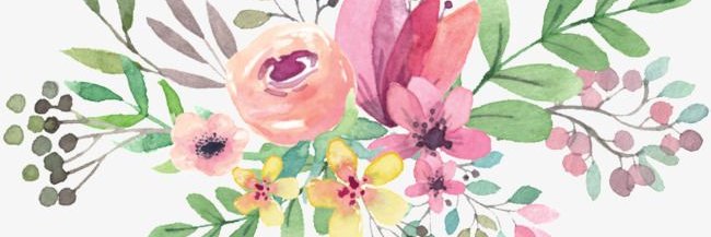 Shadimoon's profile banner image