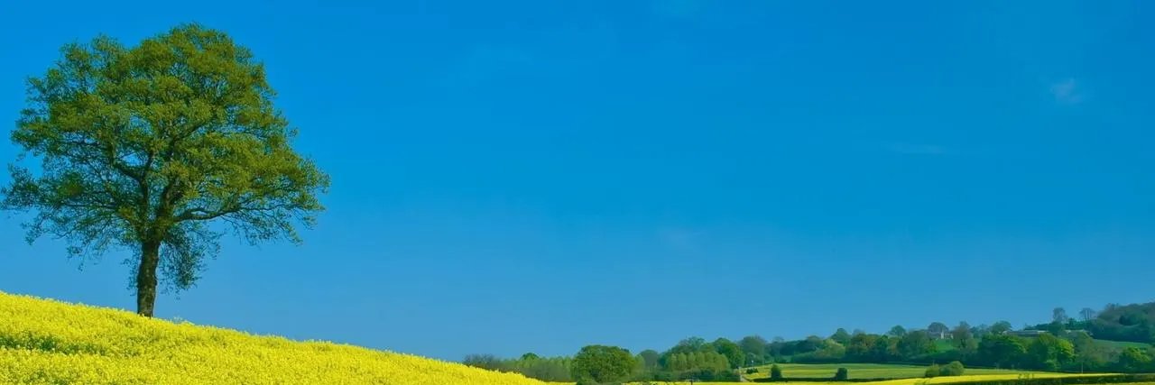 迷茫的我 banner