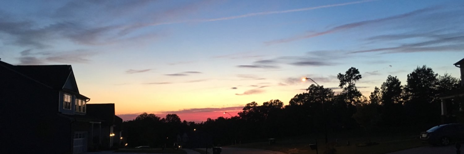 Carol O’Connell banner