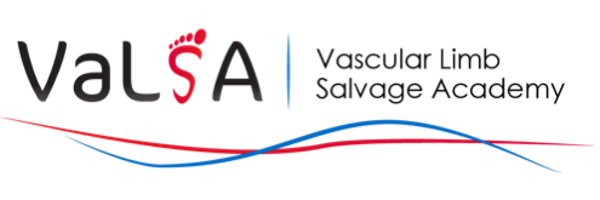 VaLSAcademy Profile Banner
