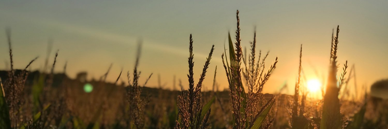 Beyond The Farm | Sydney banner