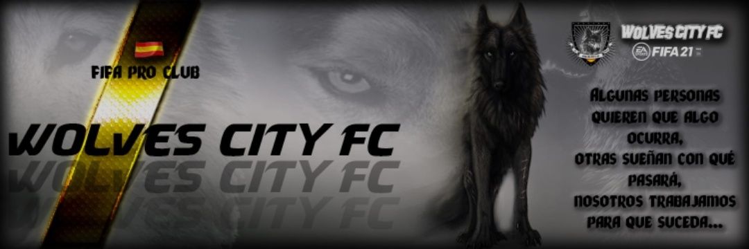 Wolves City Fc banner
