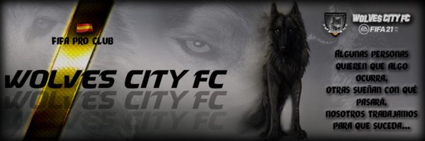 WolvesCityFc Profile Banner
