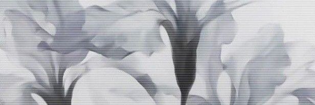 𝗔𝗥𝗜𝗔 banner