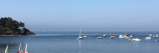 Dominique Crochu 🇪🇺 banner