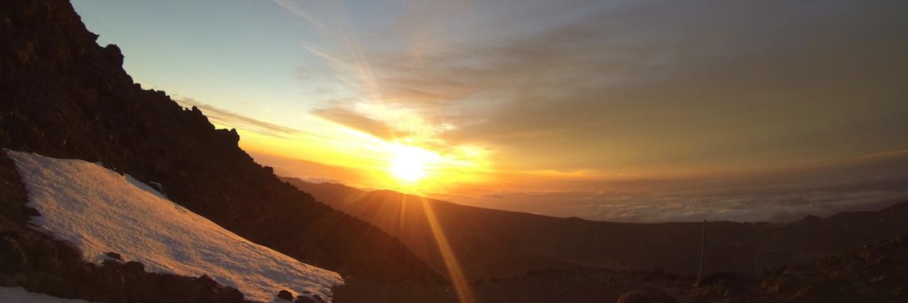 MLobelle's profile banner image