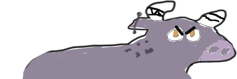 hamish the FotoKoe banner