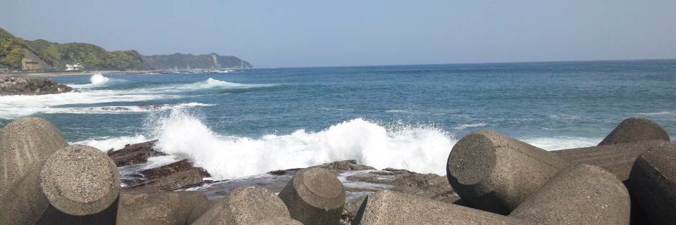 いかりん banner