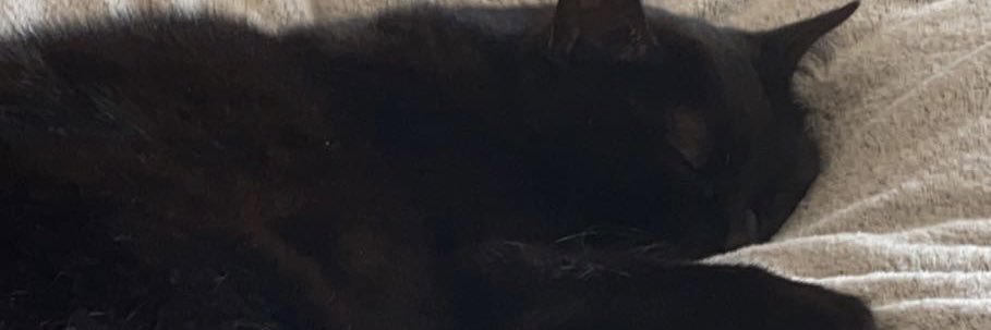 elisa_geron's profile banner image