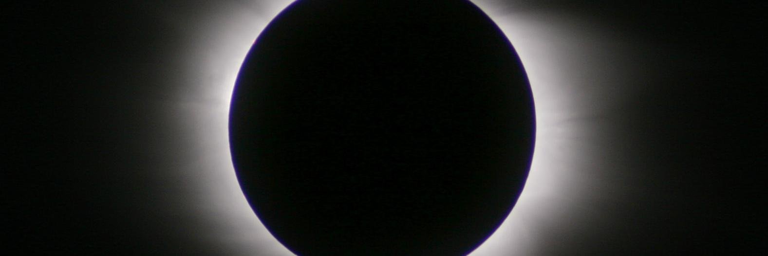 Jane Woolner💙 banner