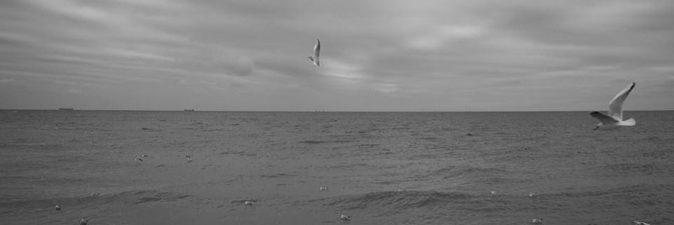 alldenster's profile banner image