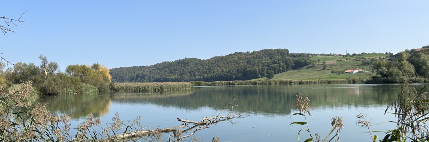 Christian Gerber 🇨🇭 🇺🇦 banner