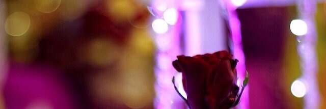 flowerlive2020's profile banner image