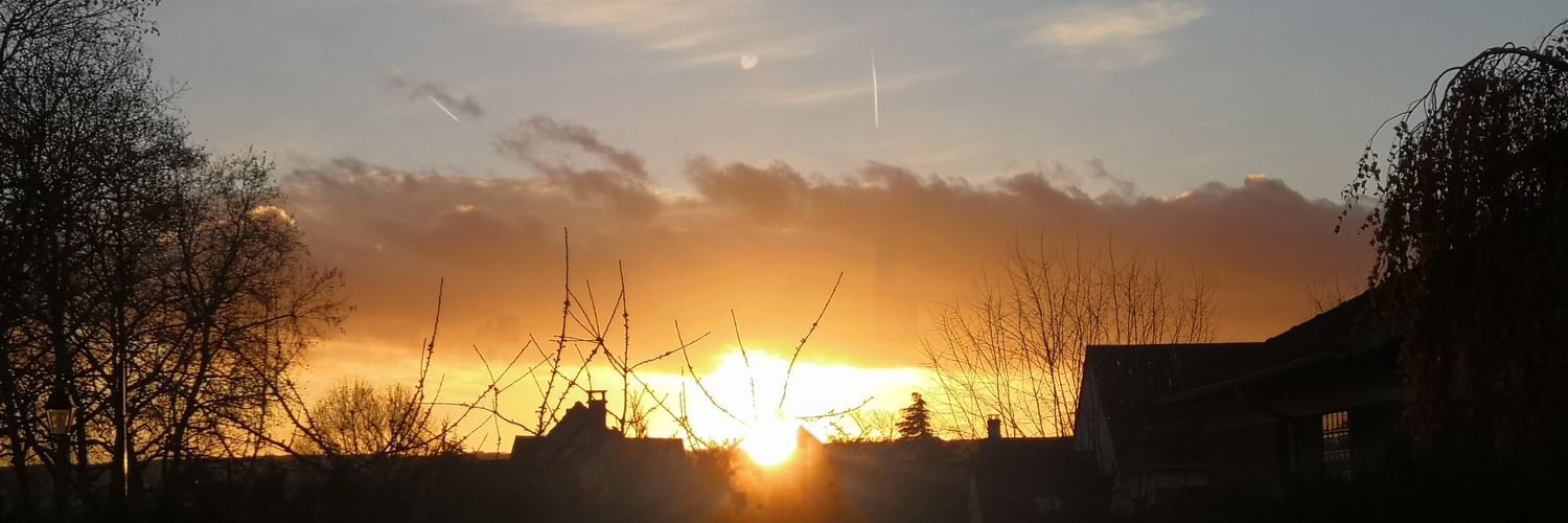 Bobi_Kilman's profile banner image