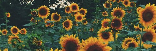 Ruby_Cecil's profile banner image