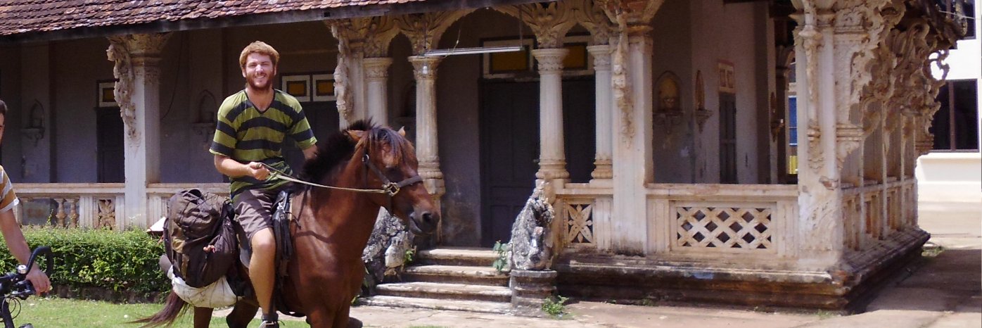 Finding Arthur banner