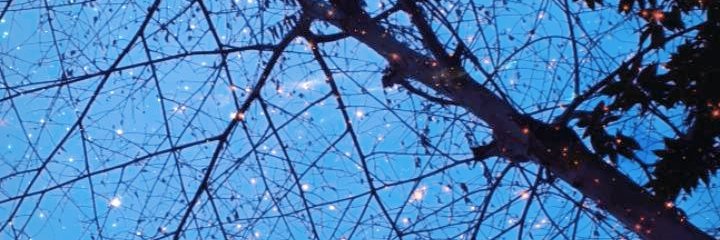 IrmaAlcheon's profile banner image