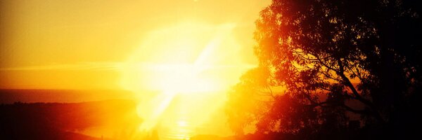 TanyaDenning Profile Banner