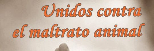 World_AnimalES's profile banner image