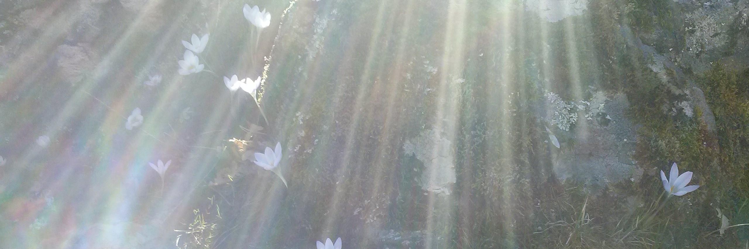 Natvdmf's profile banner image