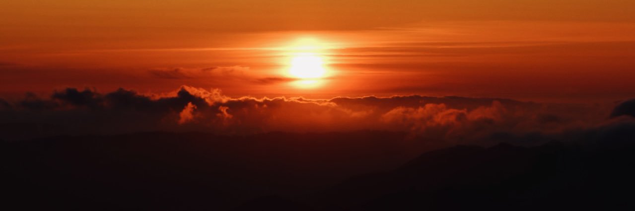 Alejandro Flores banner