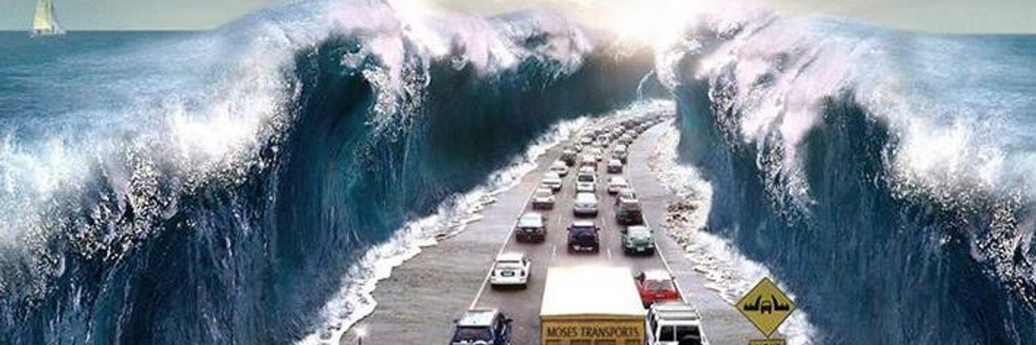 Pernod(💙,🧡) (FREE,OWN) banner