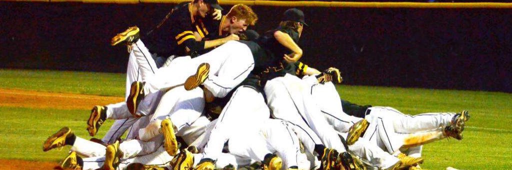 Matthew Pledge banner