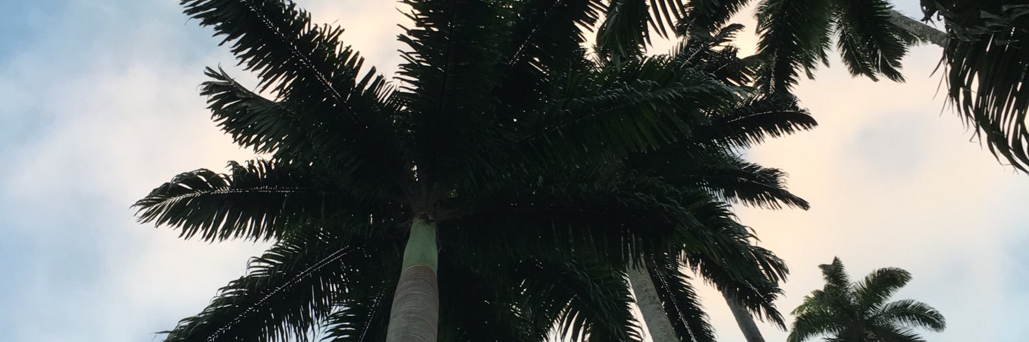 melicost_'s profile banner image