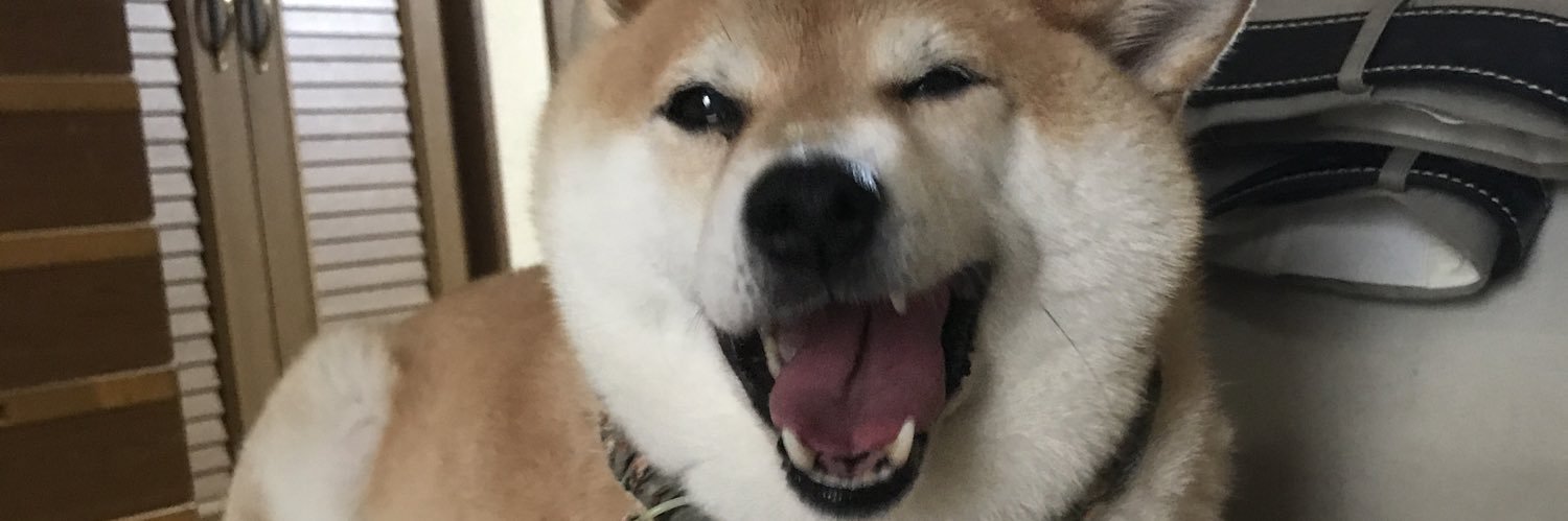 engelpeko's profile banner image