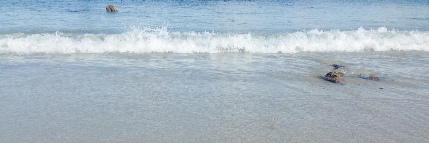 kerryguilbert's profile banner image