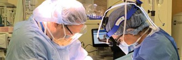 laleh_melstrom Profile Banner