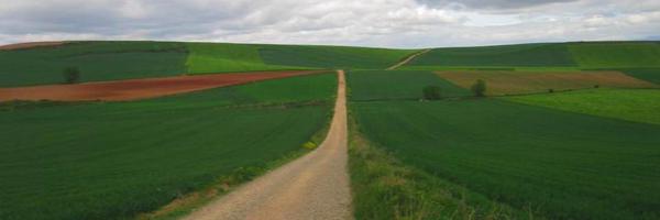 Liturgy Profile Banner