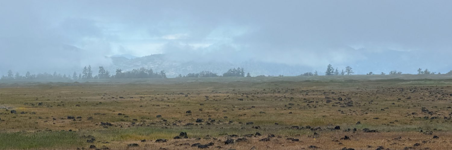 RedbeardRay's profile banner image