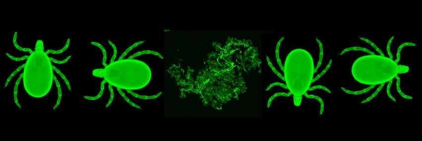 beingchakravrty's profile banner image